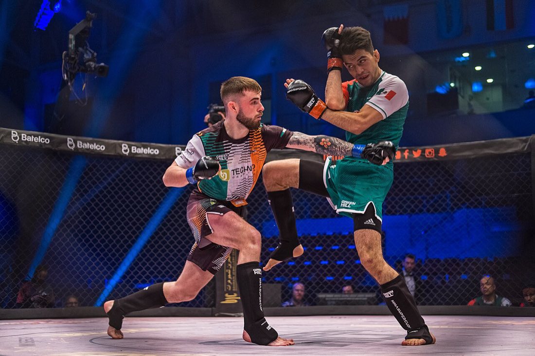 UFC октагон